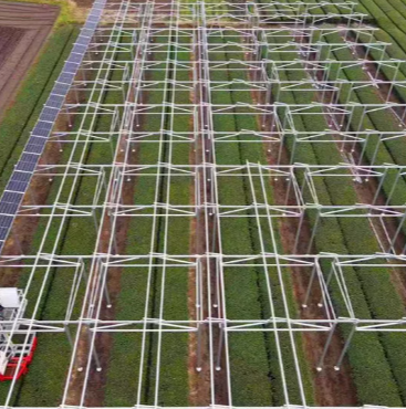 Compra de paneles solares de arrendamiento: ¿Cuál funciona para usted?