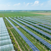 Solar Farm Agricultural System Kits de paneles solares para el sistema de montaje de tierra fotovoltaica Farm de energía solar