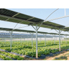 Solar Farm Agricultural System Kits de paneles solares para el sistema de montaje de tierra fotovoltaica Farm de energía solar