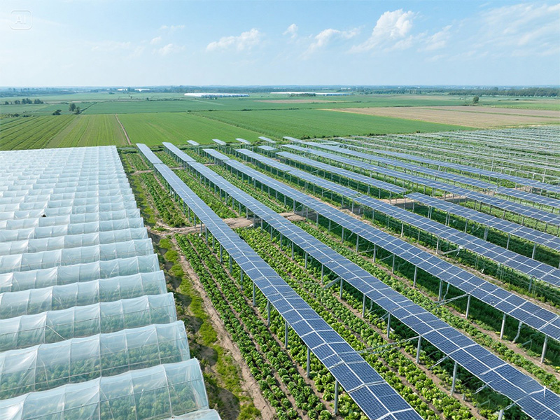 ¿Qué es una planta de energía solar?